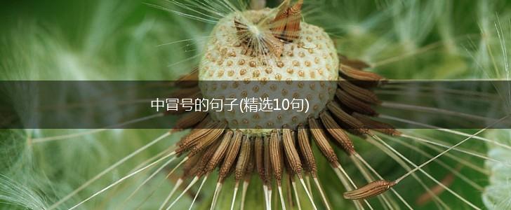 中冒号的句子(精选10句),第1张