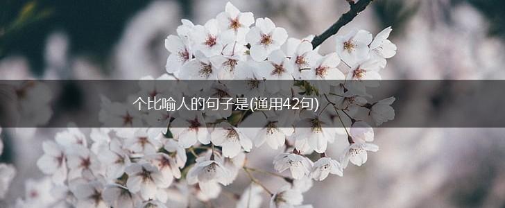 个比喻人的句子是(通用42句),第1张