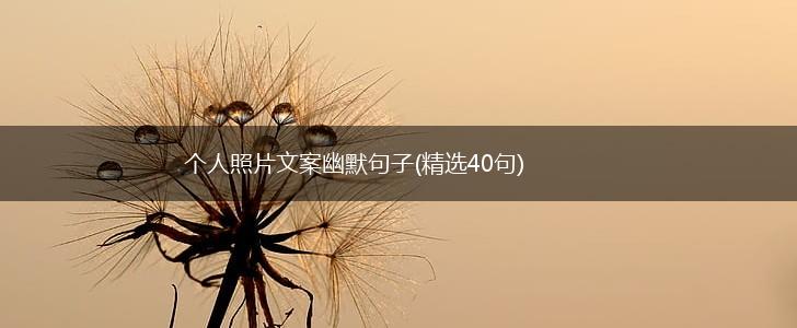 个人照片文案幽默句子(精选40句),第1张