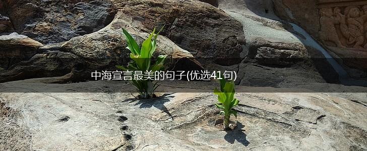 中海宣言最美的句子(优选41句),第1张
