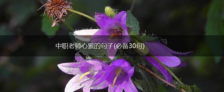 中职老师心累的句子(必备30句),第1张
