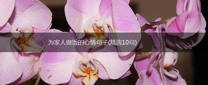 为家人做饭的心情句子(精选10句),第1张