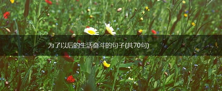 为了以后的生活奋斗的句子(共70句),第1张