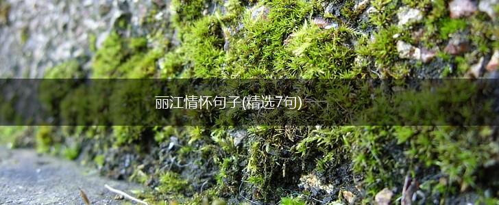 丽江情怀句子(精选7句),第1张
