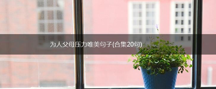 为人父母压力唯美句子(合集20句),第1张