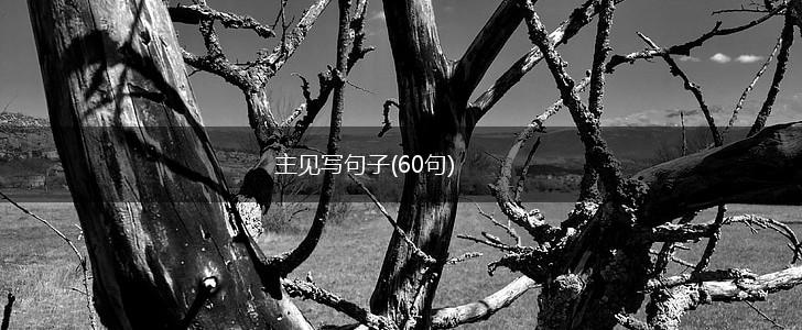 主见写句子(60句),第1张