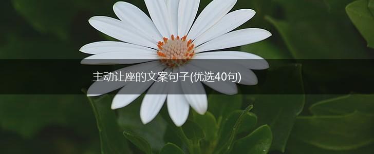 主动让座的文案句子(优选40句),第1张