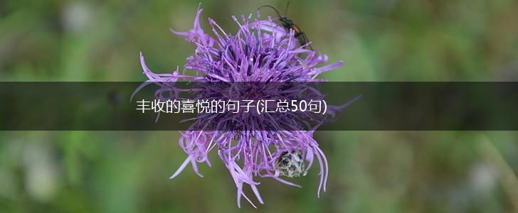 丰收的喜悦的句子(汇总50句),第1张