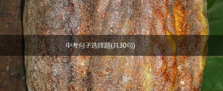 中考句子选择题(共30句),第1张