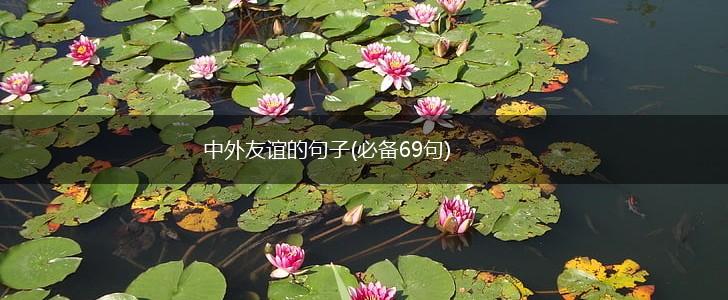 中外友谊的句子(必备69句),第1张