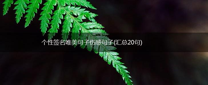 个性签名唯美句子伤感句子(汇总20句),第1张