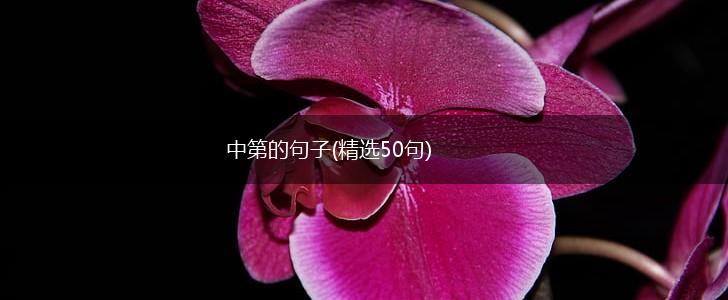 中第的句子(精选50句),第1张