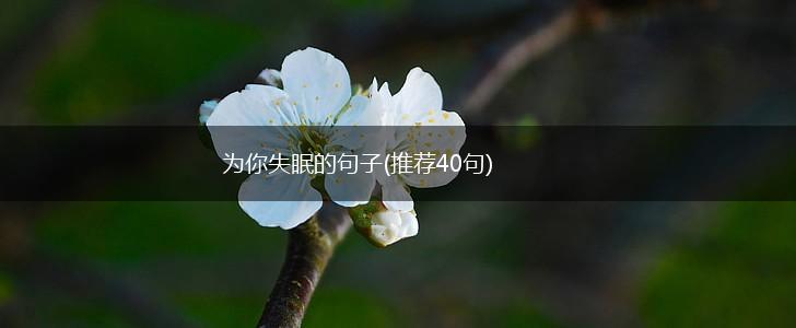为你失眠的句子(推荐40句),第1张
