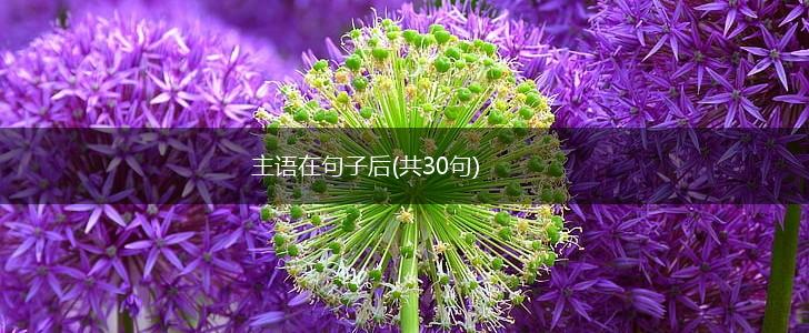 主语在句子后(共30句),第1张