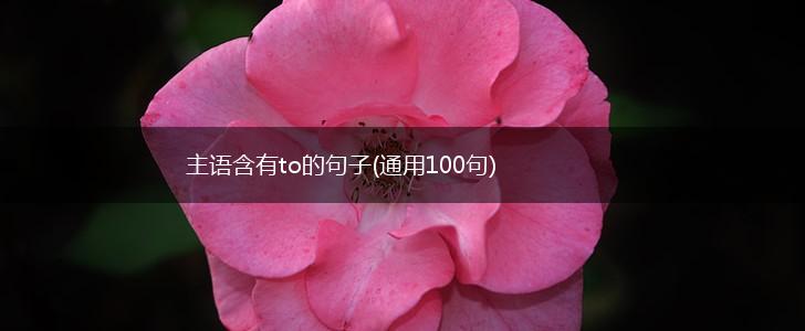 主语含有to的句子(通用100句),第1张