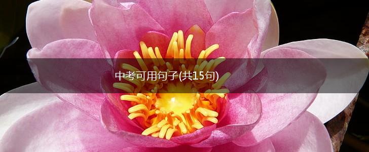 中考可用句子(共15句),第1张