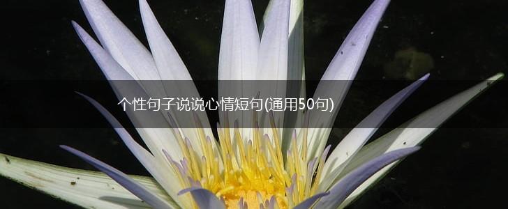 个性句子说说心情短句(通用50句),第1张