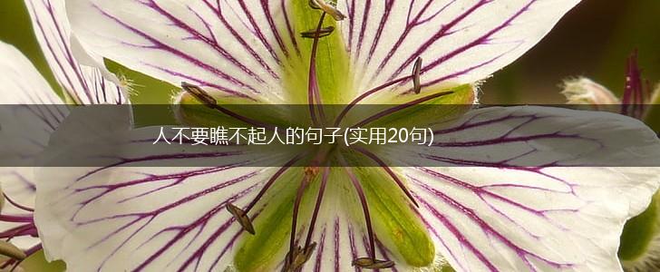 人不要瞧不起人的句子(实用20句),第1张