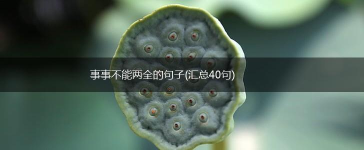 事事不能两全的句子(汇总40句),第1张