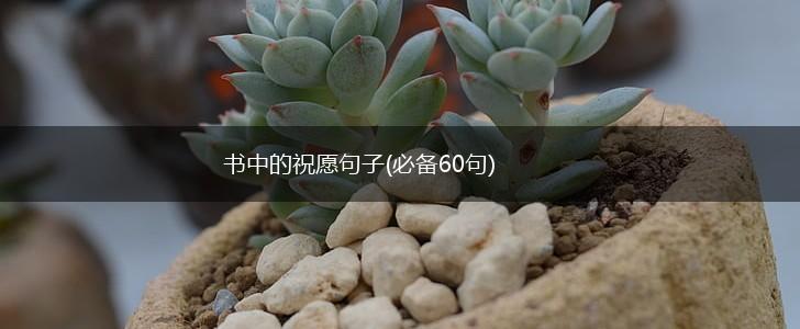 书中的祝愿句子(必备60句),第1张