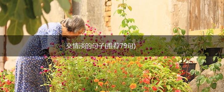 交情淡的句子(推荐79句),第1张