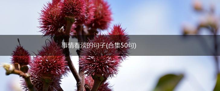 事情看淡的句子(合集50句),第1张