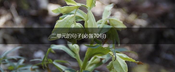 二单元的句子(必备70句),第1张