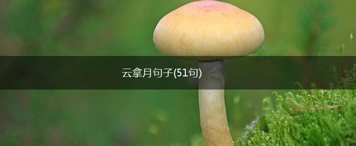 云拿月句子(51句),第1张