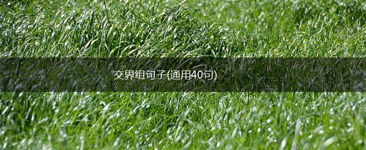 交界组句子(通用40句),第1张