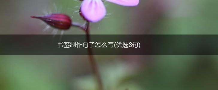 书签制作句子怎么写(优选8句),第1张