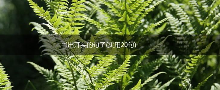 书出开头的句子(实用20句),第1张