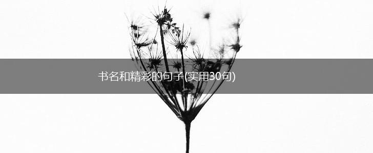书名和精彩的句子(实用30句),第1张