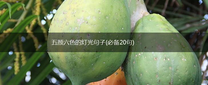 五颜六色的灯光句子(必备20句),第1张