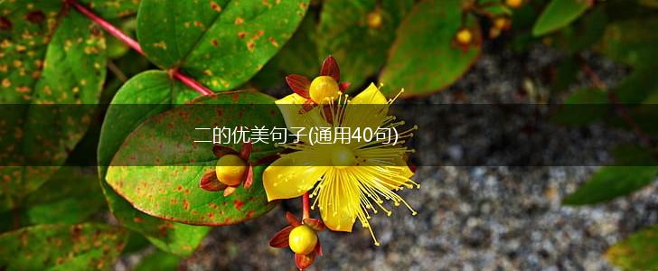 二的优美句子(通用40句),第1张