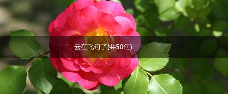 云在飞句子(共50句),第1张