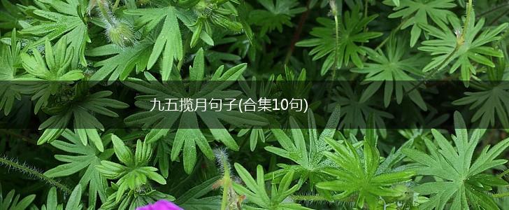 九五揽月句子(合集10句),第1张