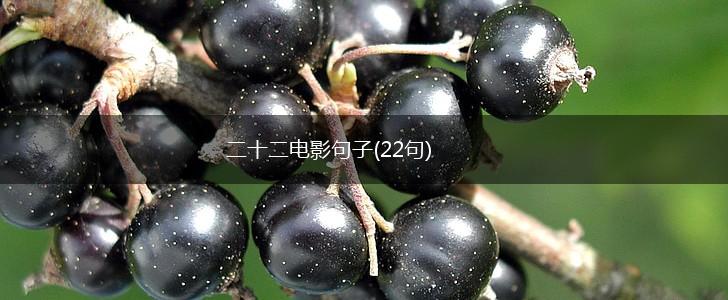 二十二电影句子(22句),第1张