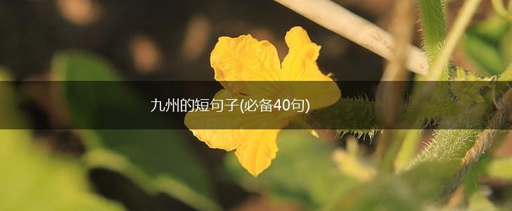 九州的短句子(必备40句),第1张