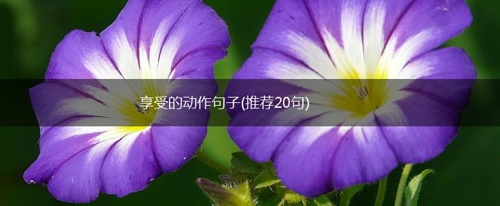 享受的动作句子(推荐20句),第1张