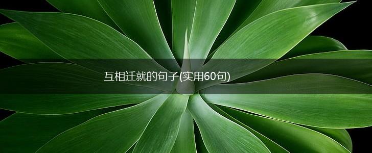 互相迁就的句子(实用60句),第1张