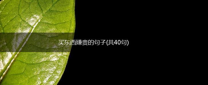 买东西嫌贵的句子(共40句),第1张