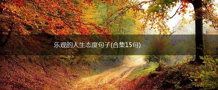 乐观的人生态度句子(合集15句),第1张