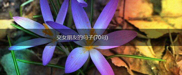 交女朋友的句子(70句),第1张