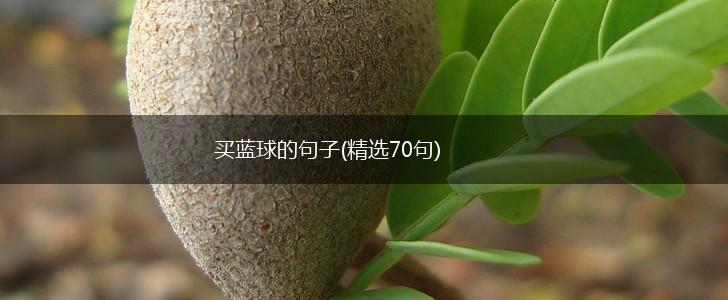 买蓝球的句子(精选70句),第1张