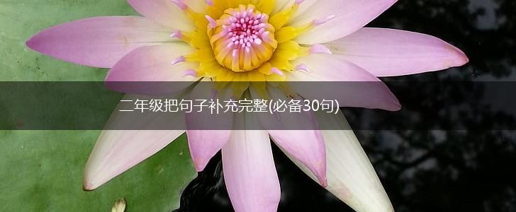 二年级把句子补充完整(必备30句),第1张