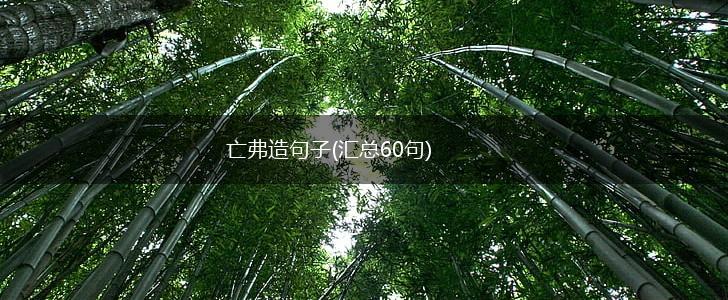 亡弗造句子(汇总60句),第1张
