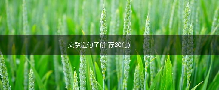 交融造句子(推荐80句),第1张