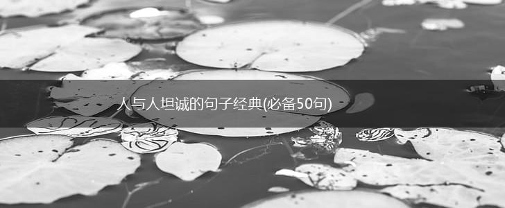 人与人坦诚的句子经典(必备50句),第1张