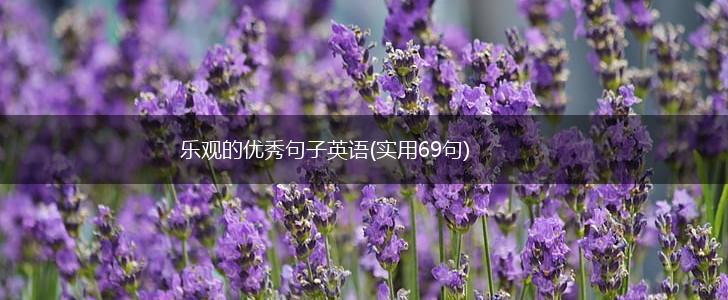 乐观的优秀句子英语(实用69句),第1张