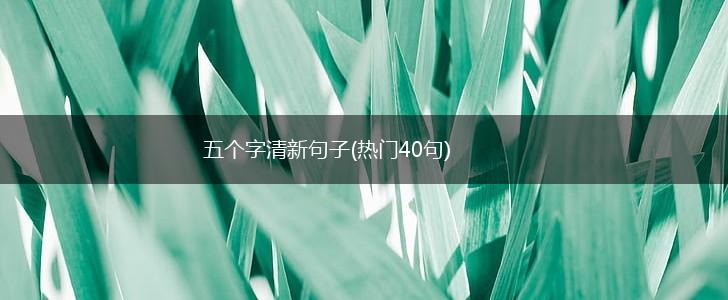 五个字清新句子(热门40句),第1张